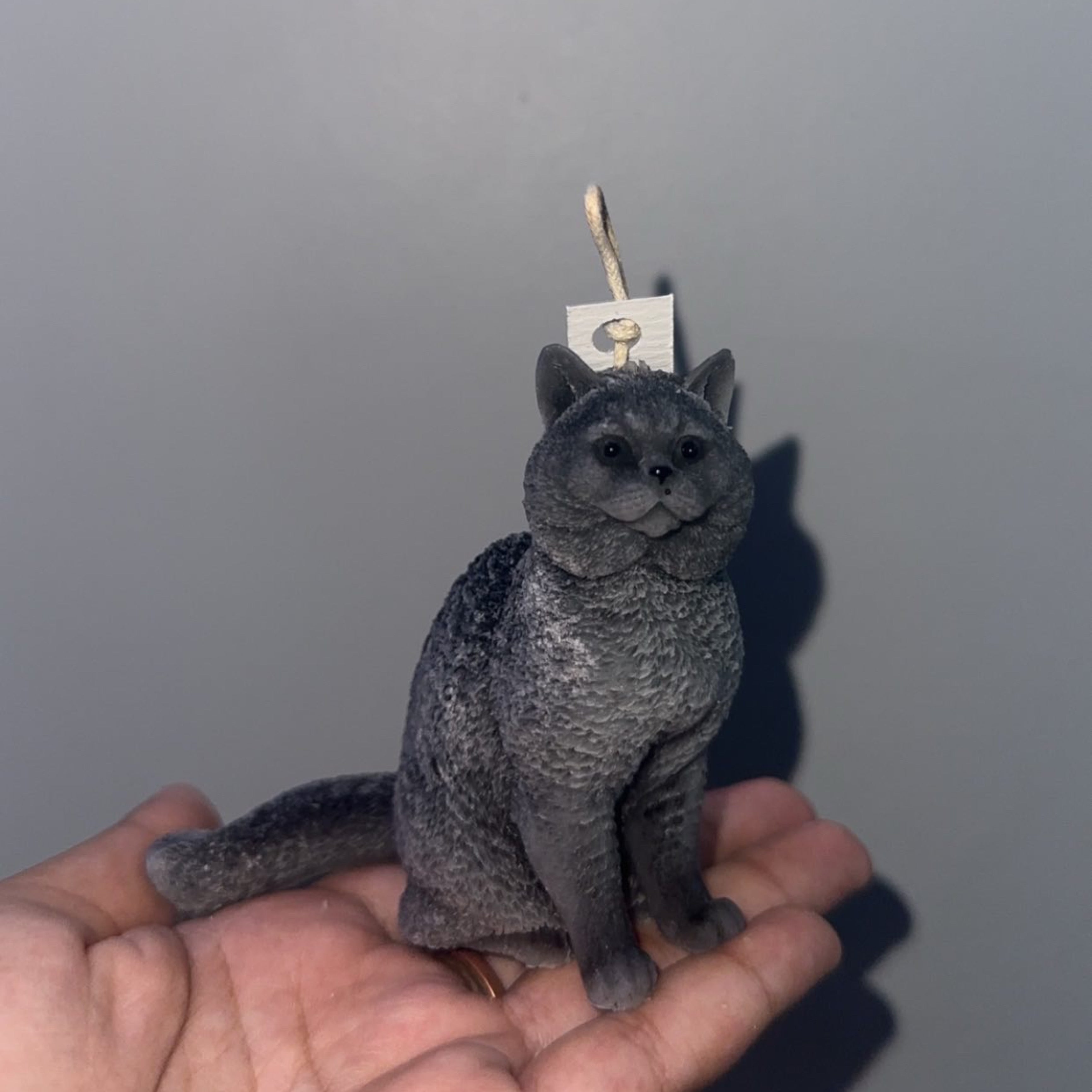 Cat candle