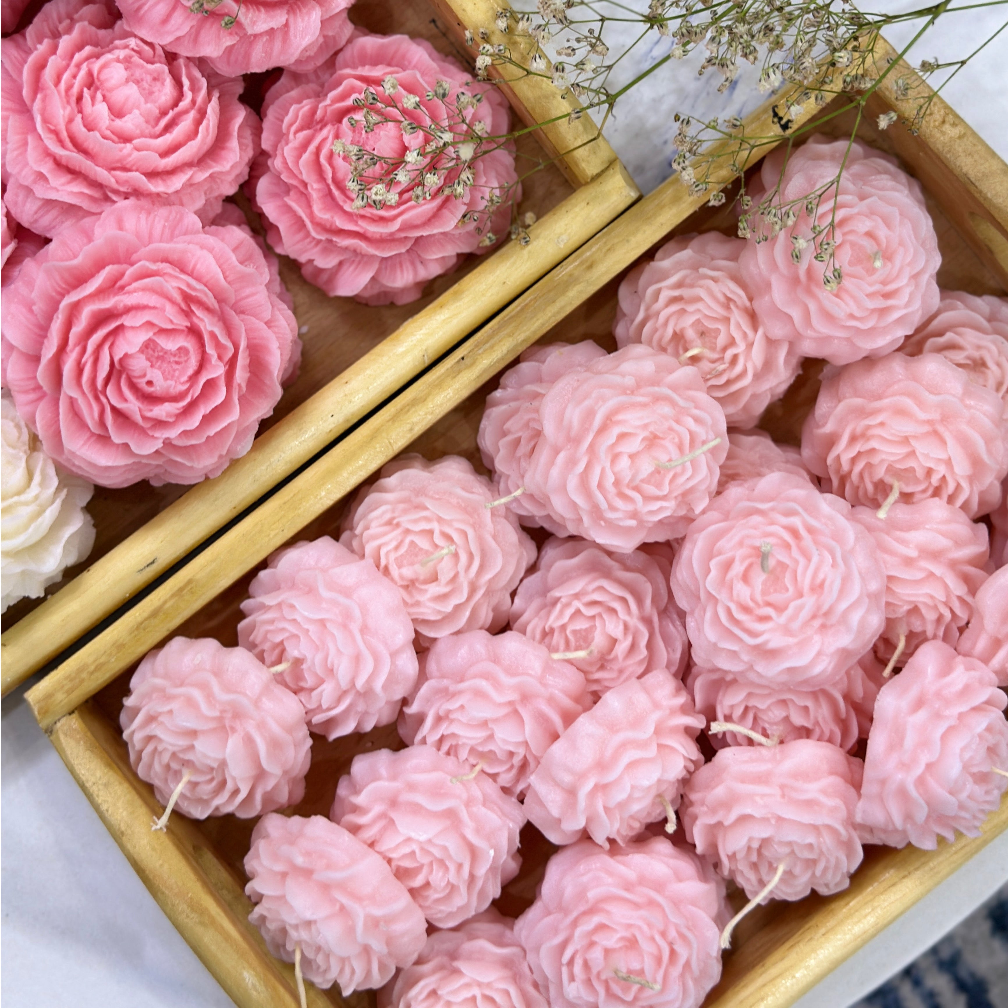 Medium peony