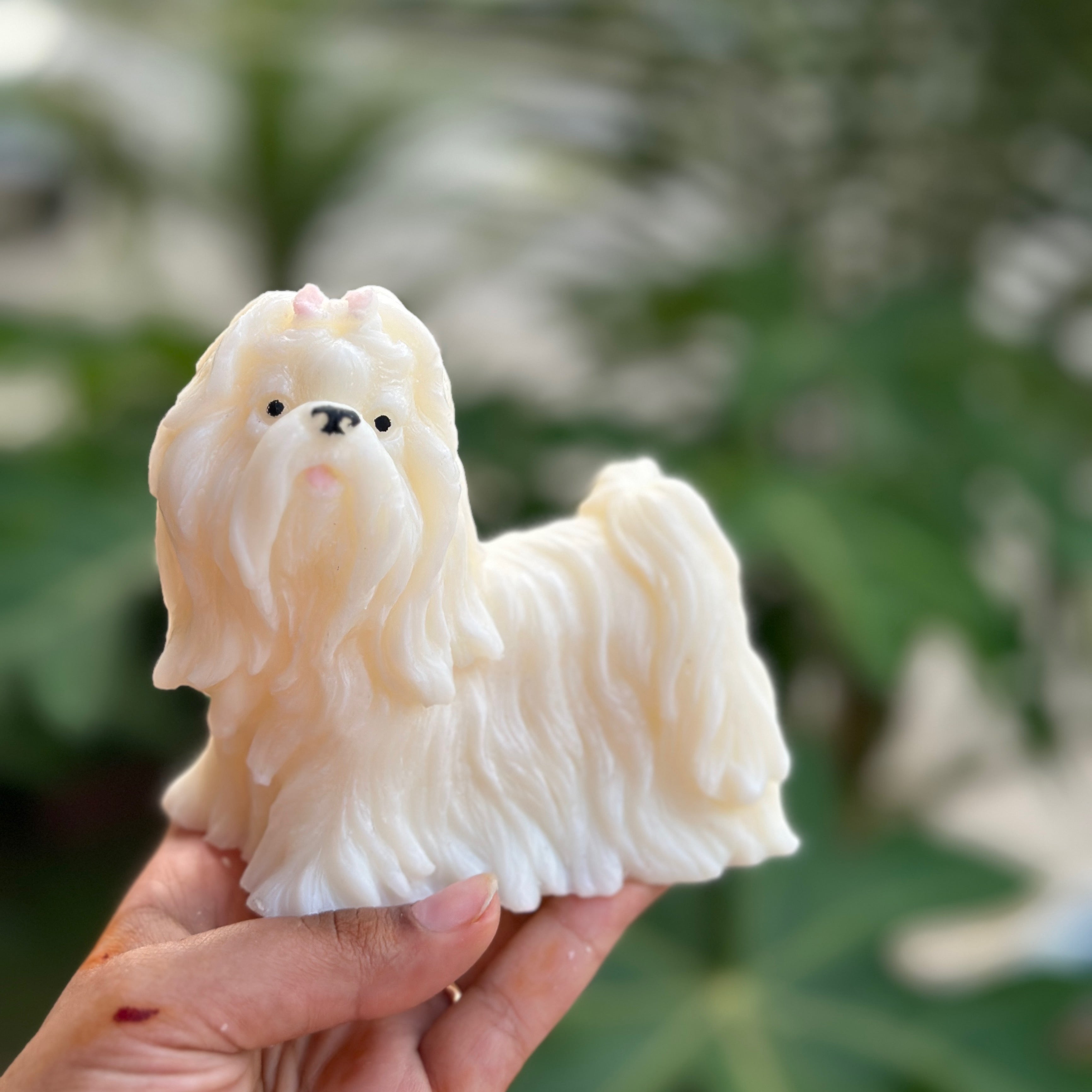 ShihTzu Candle